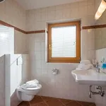 Apartment Amsel Mayrhofen